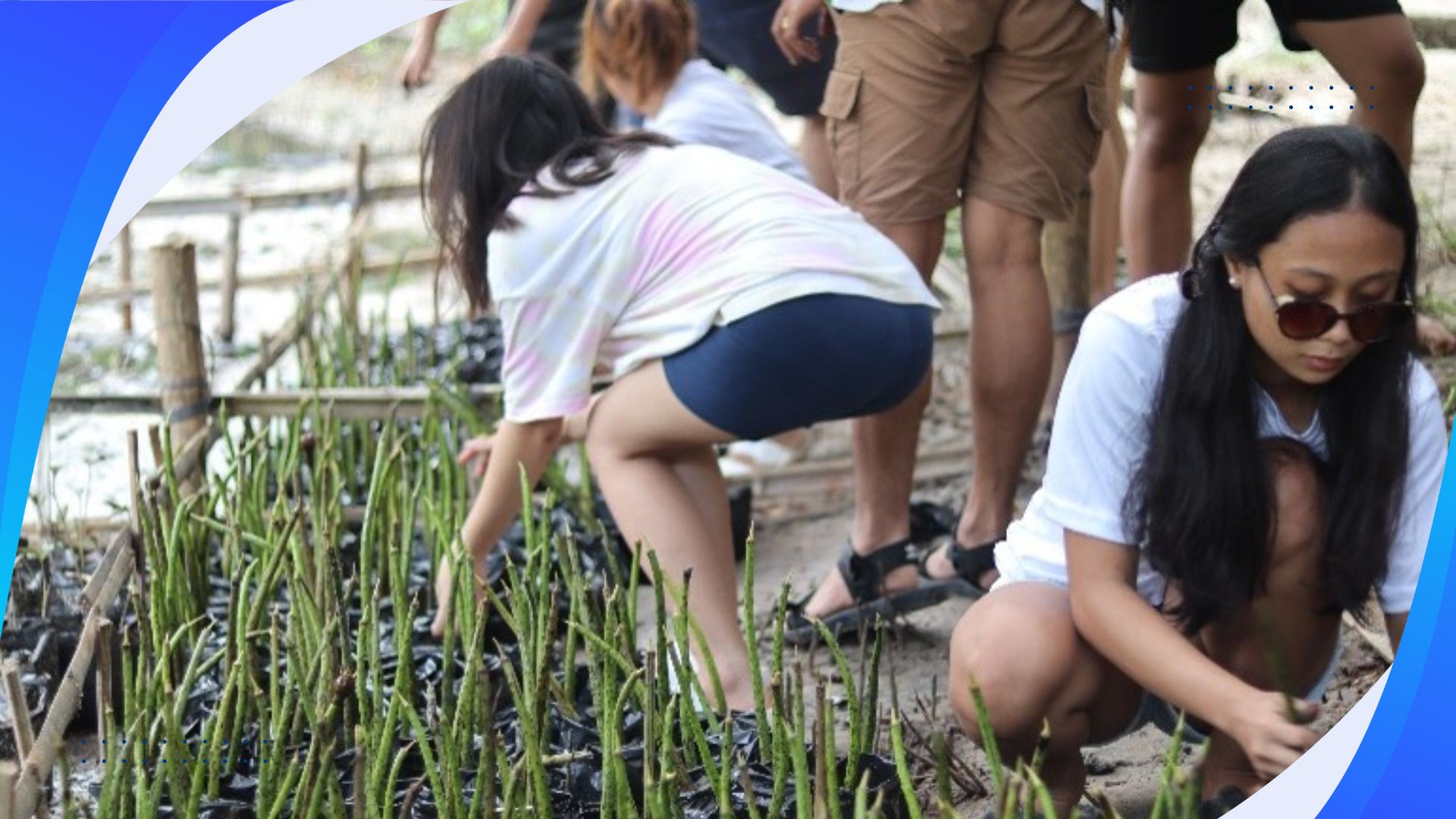 Mangrove Bagging for Coastal Restoration and Livelihood Support