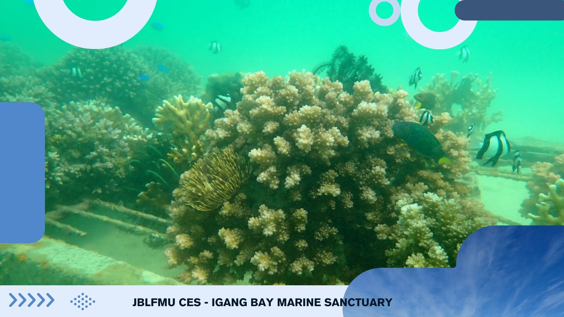 Coral Revival: JBLFMU Joins Forces to Protect Our Reefs